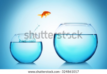 Similar – Foto Bild Fischglas mit Wasserspritzaufschlag