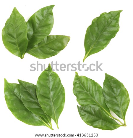 Cutting Out High Fructose Corn Syrup Weight Loss Cutting out high fructose corn syrup weight loss