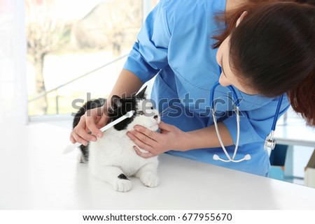 Similar – Image, Stock Photo Cat at the dentist