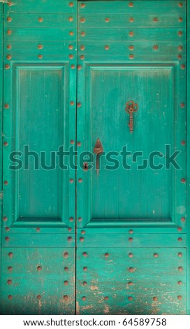 A green rustic door to a french house