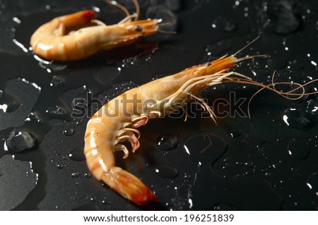Cooked shrimps with black background. Horizontal format