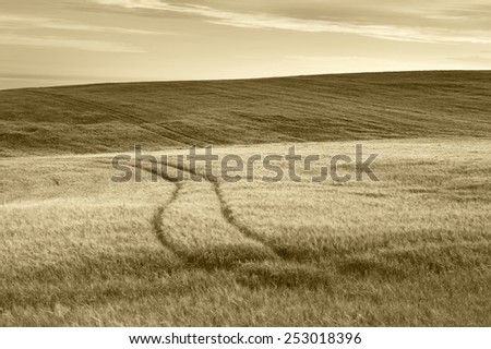 Scottish countryside landscape in sepia tone. Scotland. UK. Horizontal