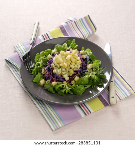 Crunchy salad with vegetables and fruits apple red cabbage cornsalad plate on a gray striped napkin pink tablecloths