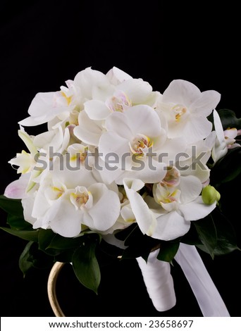 beautiful bouquet of orchid flowers