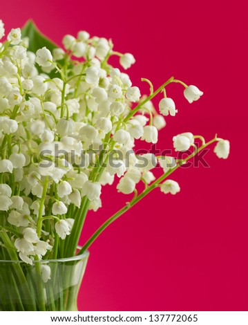 Bouquet of the lily of the valley on light background