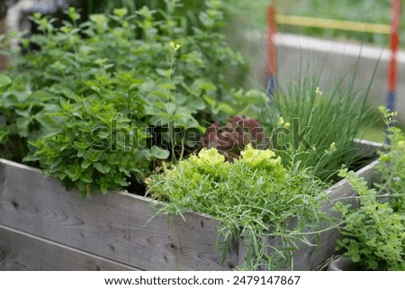 Similar – Image, Stock Photo Raised beds in the garden