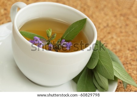 Teacup with garden sage tea / Salvia officinalis/