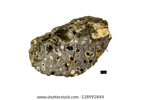 Amygdaloidal Basalt Isolated On White Background With Scale Bar Stock Amygdaloidal Basalt Isolated On White Background With Scale Bar Stock