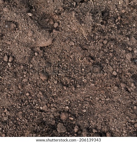 Fragment of an earth soil texture as an abstract background composition