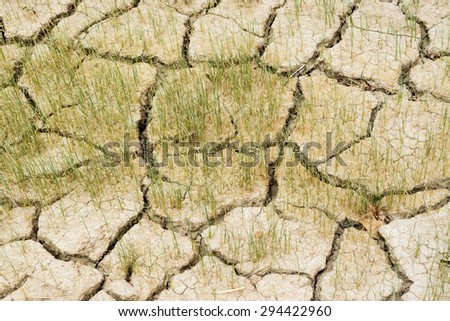 cracked clay ground ,rain did not fall
