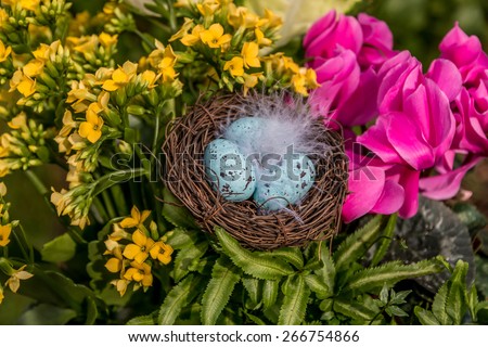 Easter flowers with feather nest and Easter eggs.