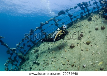 Female diver swimming over a shipwreck in the Southern Red Sea, Egypt