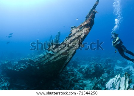 Female diver at a shipwreck in the Southern Red Sea, Egypt