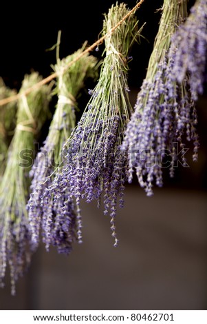 Dried bunches of Lavender hanging on string