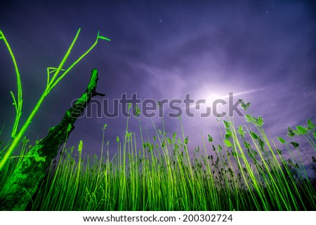 UfO ray of  the unusual moon - night full moon mystical landscape background