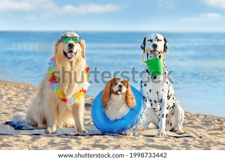 Similar – Image, Stock Photo On the beach 3 Landscape