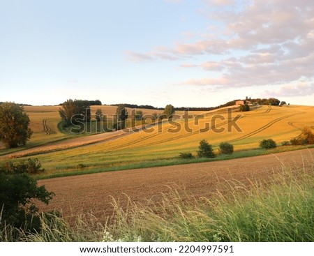 Similar – Rural landscape Field