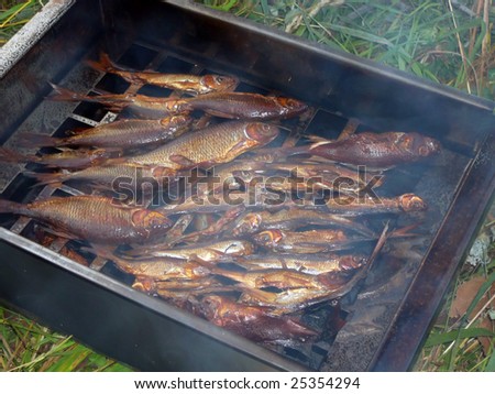 smoked fish in the smoking shed