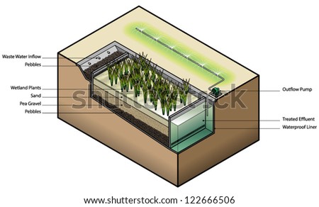 Diagram: Waste Water Treatment Using Wetland Plants / Reed Bed. Stock ...