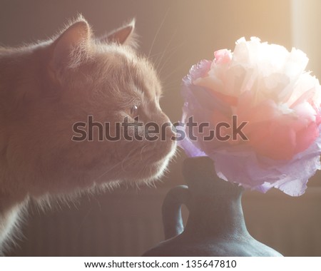 Cat Smelling Tissue Paper Flower