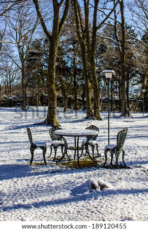 Outdoor garden and table set with a dusting of snow.