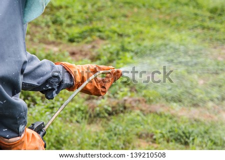 A man  is spraying herbicide in farm that has many weed
