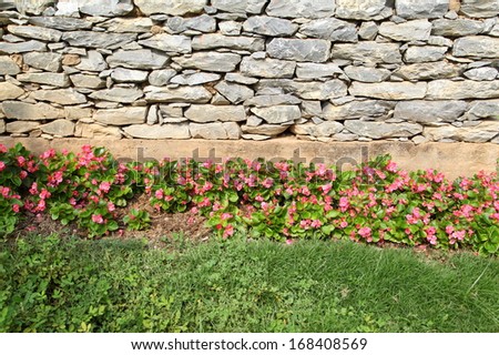 Stone, flower and green grass wall background