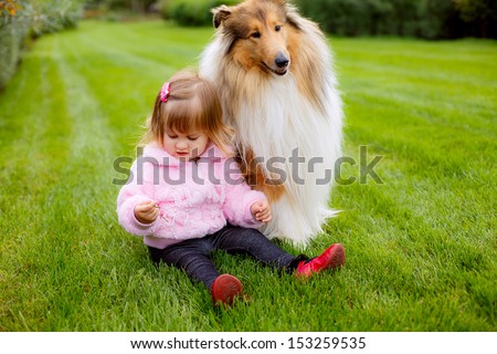faithful collie dog watching a small child. clever. trained dog