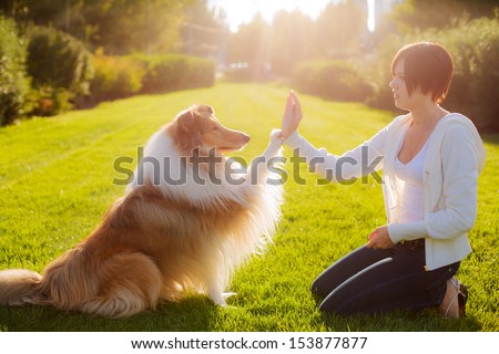 people training a dog Collie. Collie gives his paw to her mistress