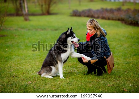 Friendship between human and dog - shaking hand and paw