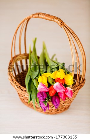 bouquet of tulips in a basket. card for congratulations, March 8, International Women\'s Day, Mother\'s Day