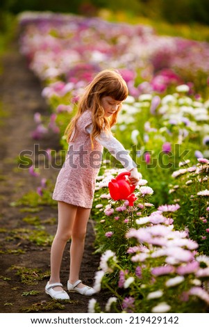 beautiful girl in the garden among the flowers. water the flowers. asters. sunset. autumn