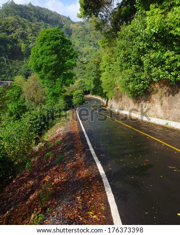 Road, forest, light rain and sun in Boquete, Panama, Central America.