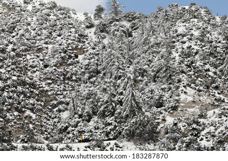 Relatively unusual snow in the San Gabriel Mountains, Angeles Crest Highway, Los Angeles County, CA, USA. Photo taken in 2013.