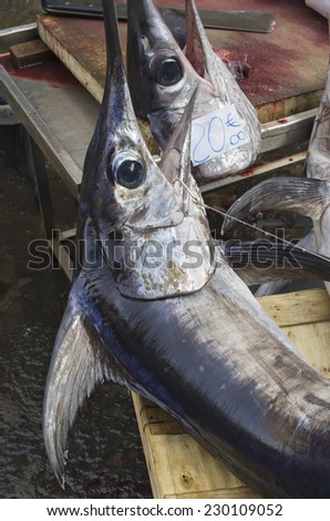 Swordfish:. photo taken at the main fish market (a street, open air market) in Catania, Sicily, Italy.