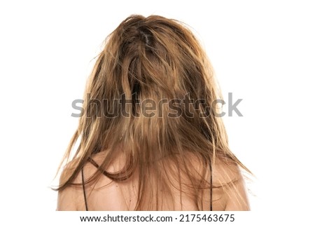 Similar – Image, Stock Photo Behind a tangle of branches and twigs, the sun rises in the mist.