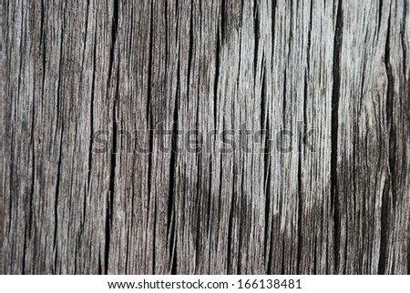 Old wood texture background for graphic designer