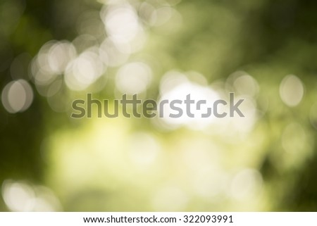 Green bokeh; Abstract background for graphic designer