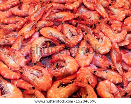 bunch of steamed shrimps background food
