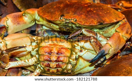 cooked crabs in sea food supermarket