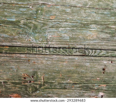 nail in wall texture of bark wood use as natural background