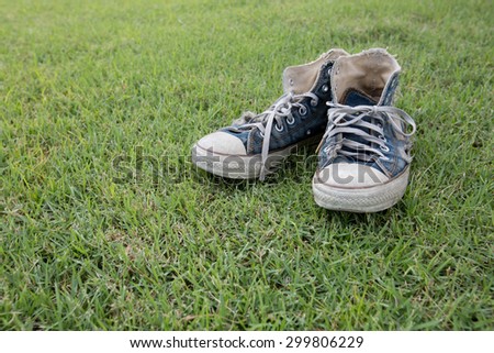 Old & Torn sneakers on green grass background