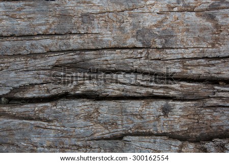 Old Wood patterns background  ,Old wood texture background