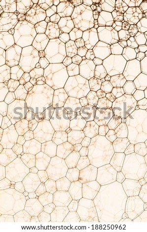Web of cells and lines, over a blurred background