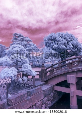 Unusual Japanese tree, extended Infrared photograph. Kamakura, Japan.