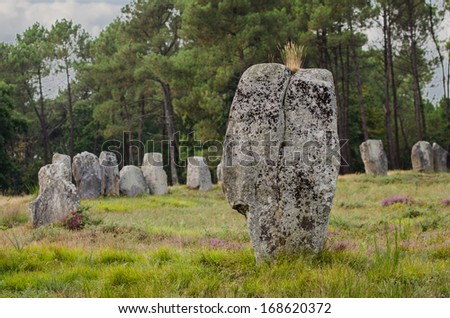 Megalithic monuments of the Stone Age in Carnac of France