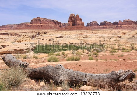 Landscape with dry red rocks and riverbed, USA, Utah