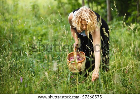 Similar – Image, Stock Photo Mild Black Forest summer