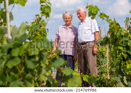 Senior Couple of man and woman in vineyard