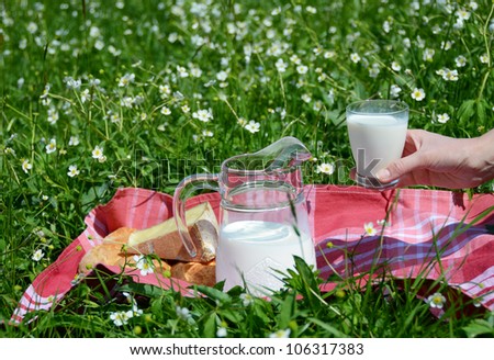 Milk, cheese and bread served at a picnic on Alpine meadow, Switzerland